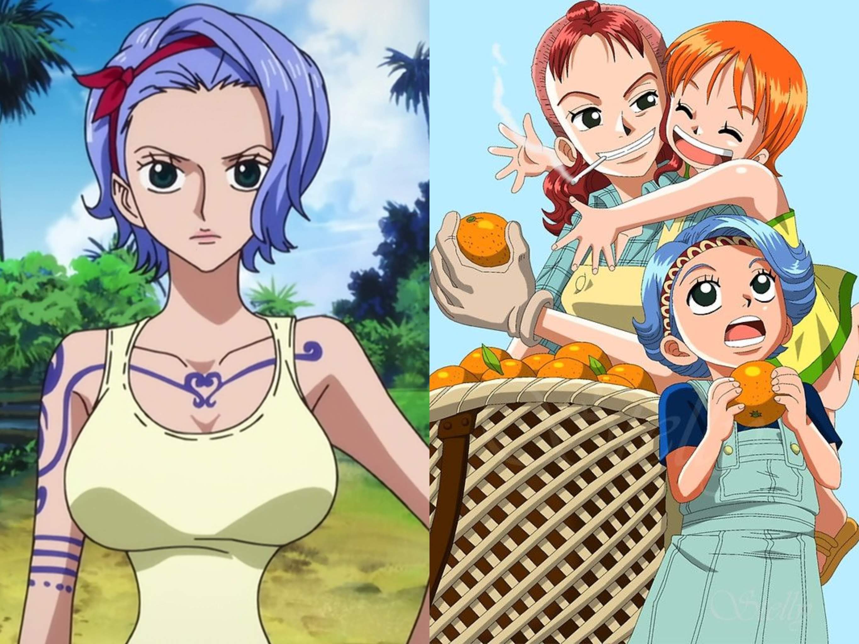 6 nouveaux personnages rejoignent le casting dont Mihawke et chef Zeff -  One Piece (actualité)